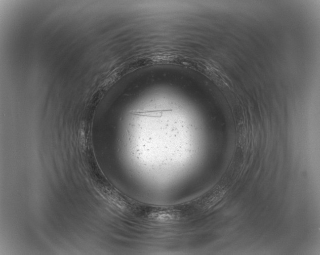 X0000061120655200512022153