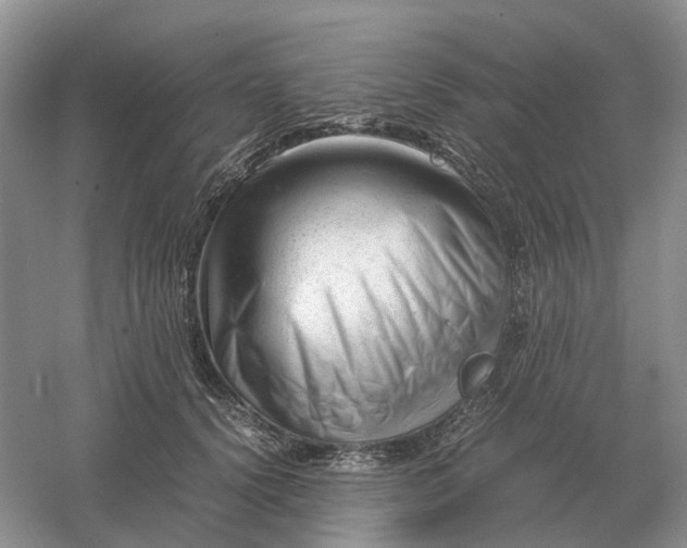 X0000061120656200512022154