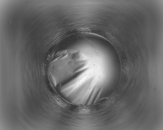 X0000061120658200512022154