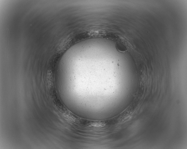 X0000061120659200512022154