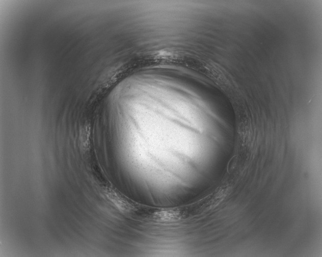 X0000061120660200512022154