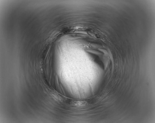 X0000061120663200512022154