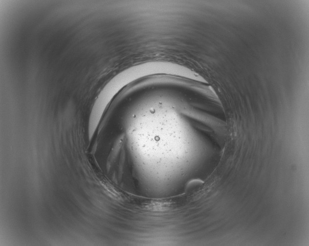 X0000061120664200512022154