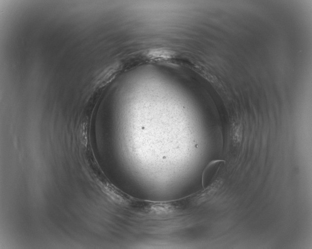 X0000061120666200512022154