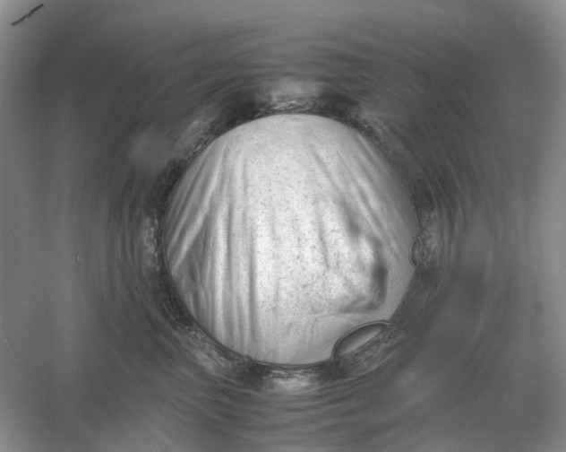 X0000061120667200512022154