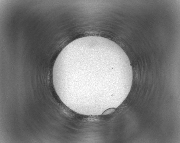 X0000061120668200512022154