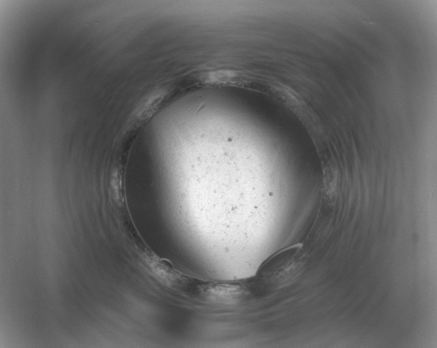 X0000061120669200512022154