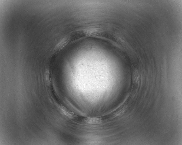 X0000061120670200512022154