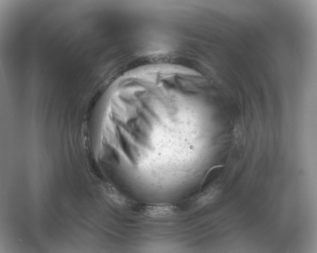 X0000061120671200512022154