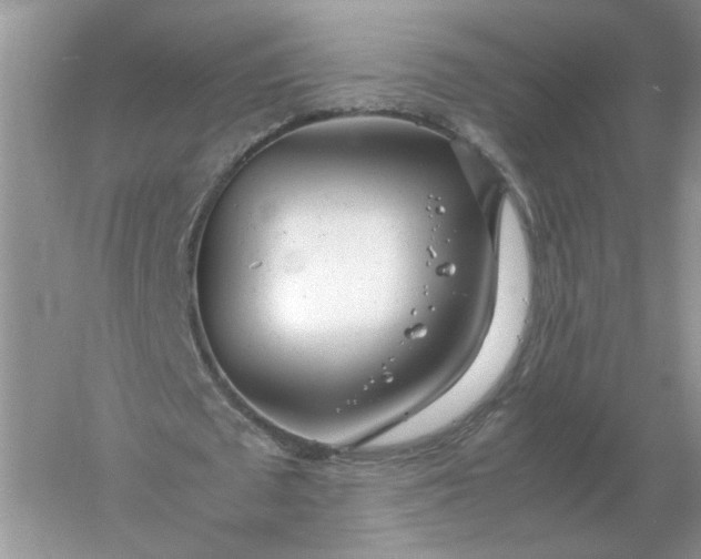 X0000061120673200512022153