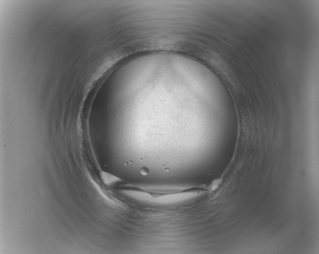 X0000061120674200512022153