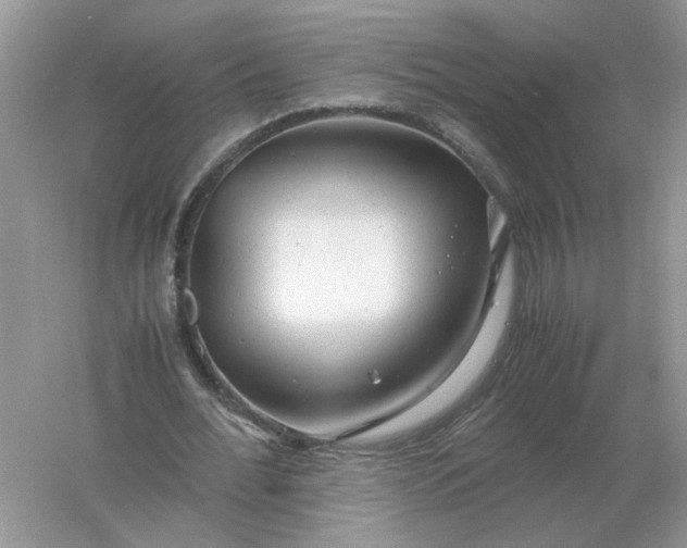 X0000061120676200512022153