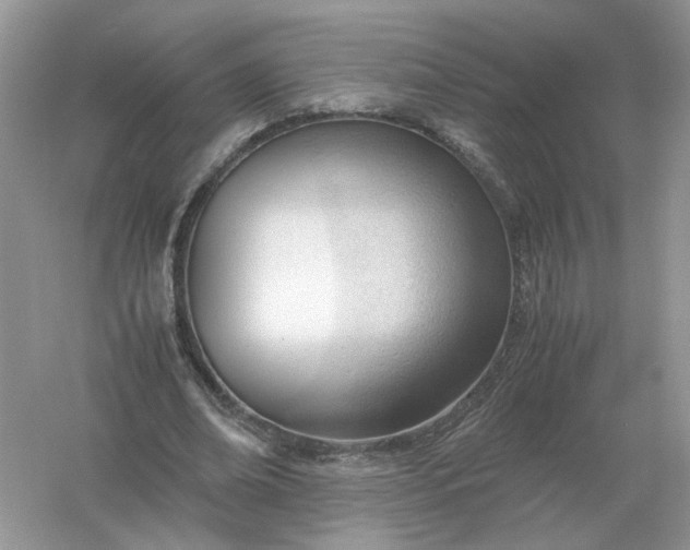 X0000061120678200512022153