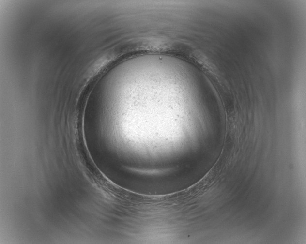 X0000061120679200512022153