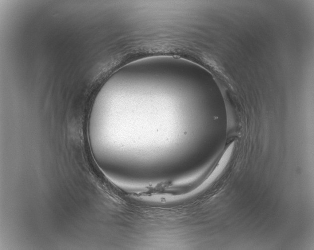 X0000061120681200512022153