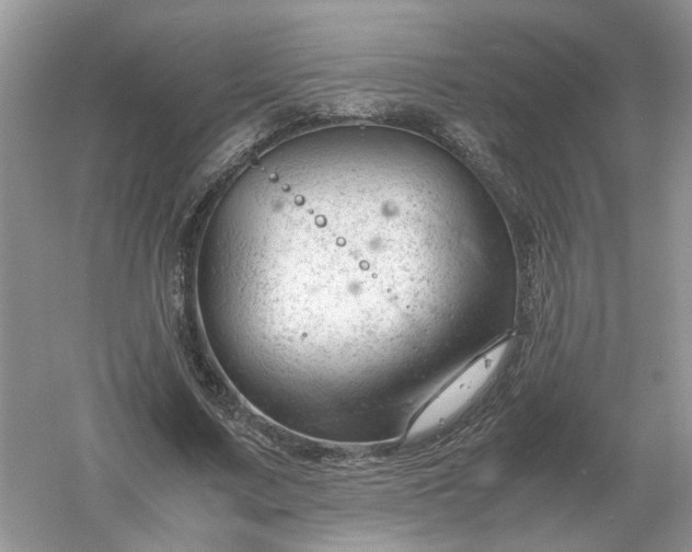 X0000061120683200512022153