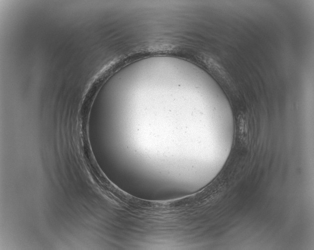 X0000061120684200512022153