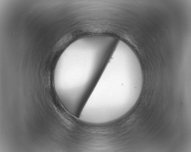 X0000061120685200512022153