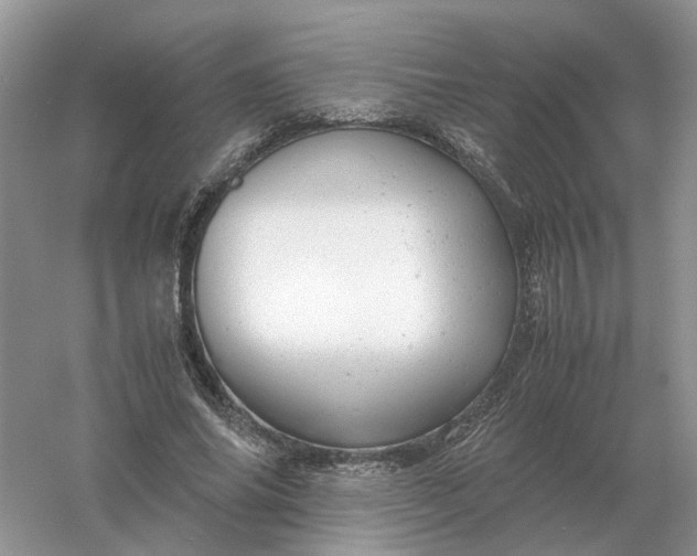 X0000061120686200512022153