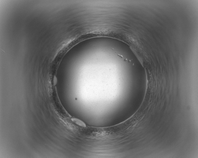 X0000061120688200512022153