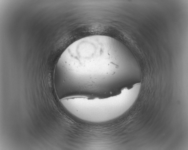 X0000061120689200512022153