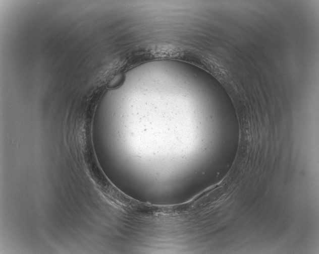 X0000061120690200512022153