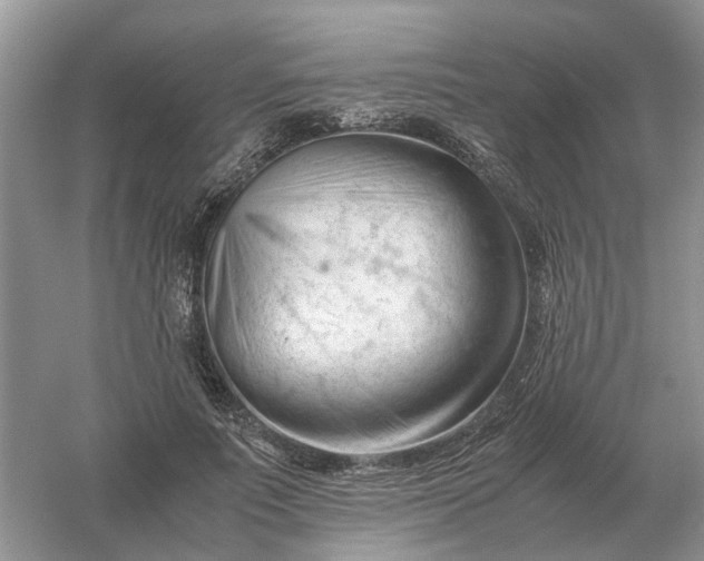 X0000061120691200512022153