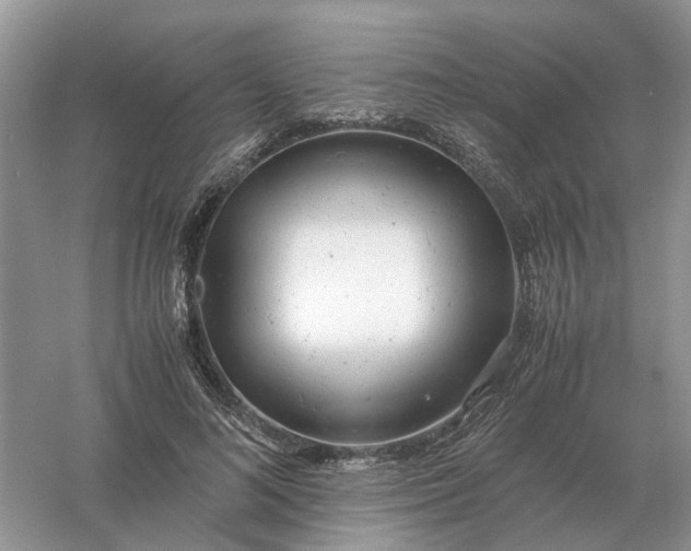 X0000061120692200512022153