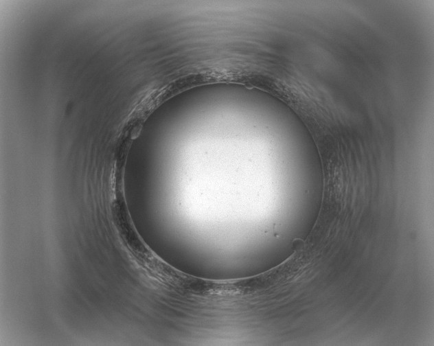 X0000061120694200512022153