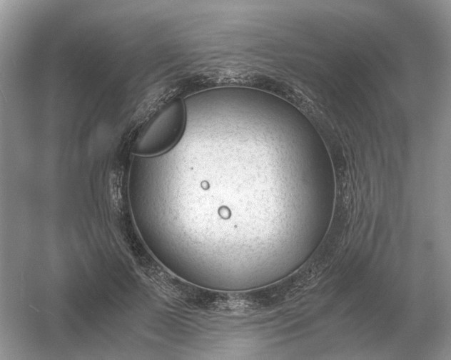 X0000061120695200512022153