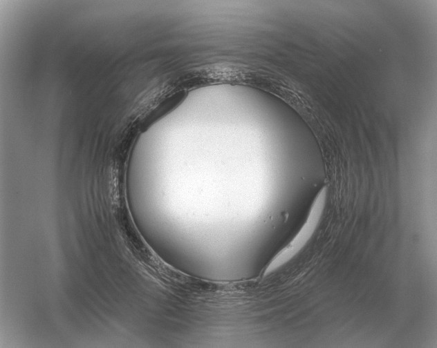 X0000061120696200512022153