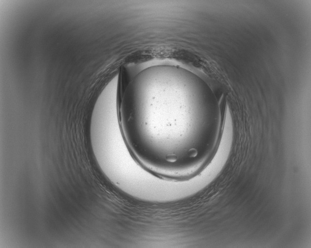 X0000061120697200512022153