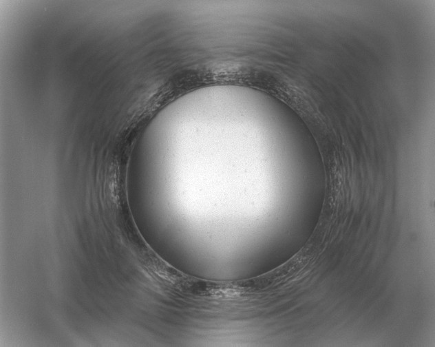 X0000061120698200512022153