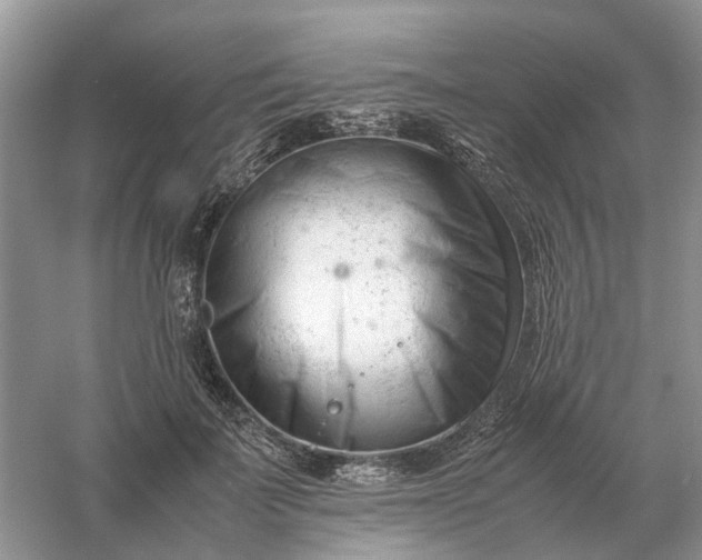 X0000061120699200512022152