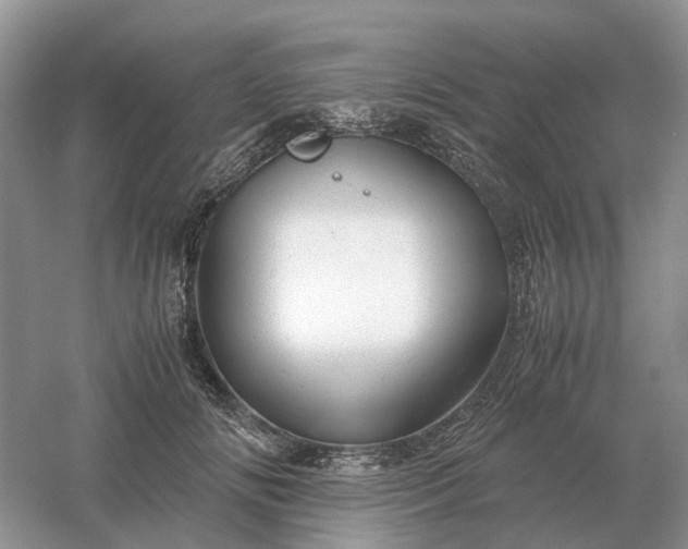 X0000061120702200512022152