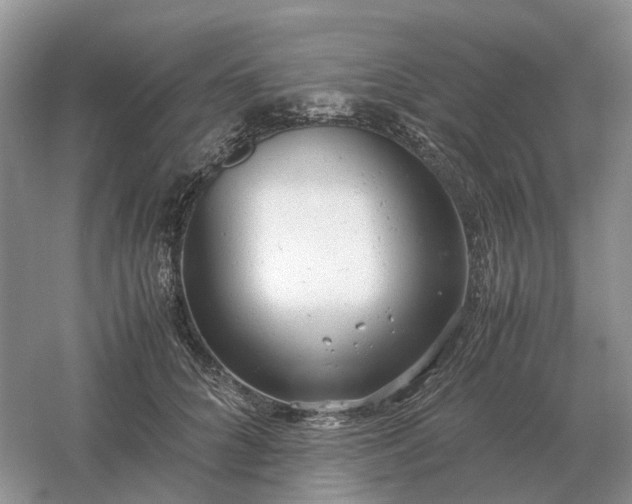 X0000061120704200512022152