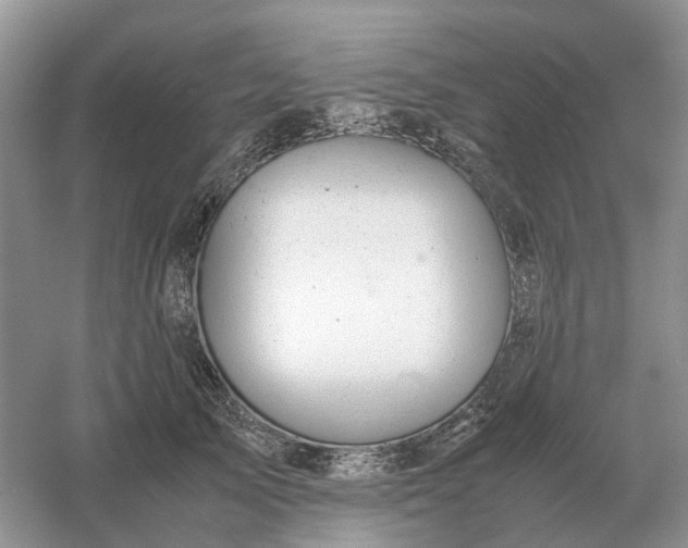 X0000061120705200512022152