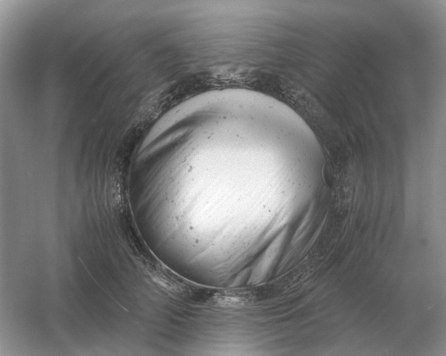 X0000061120706200512022152