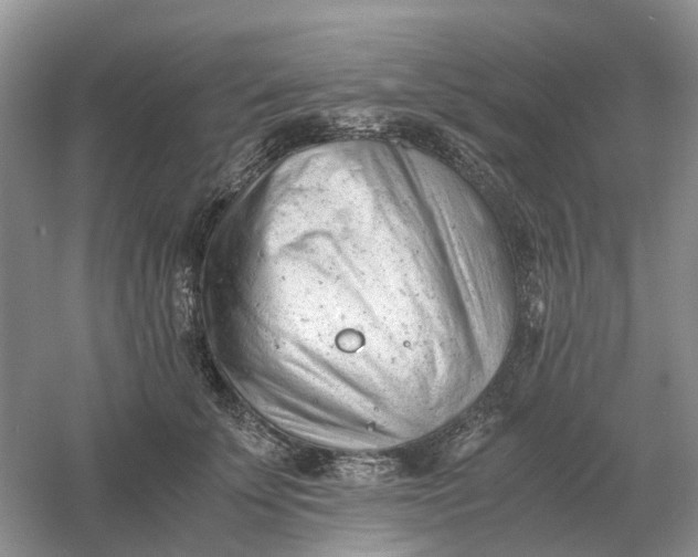 X0000061120707200512022152