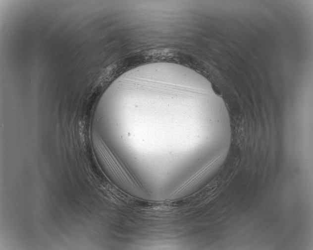 X0000061120708200512022152