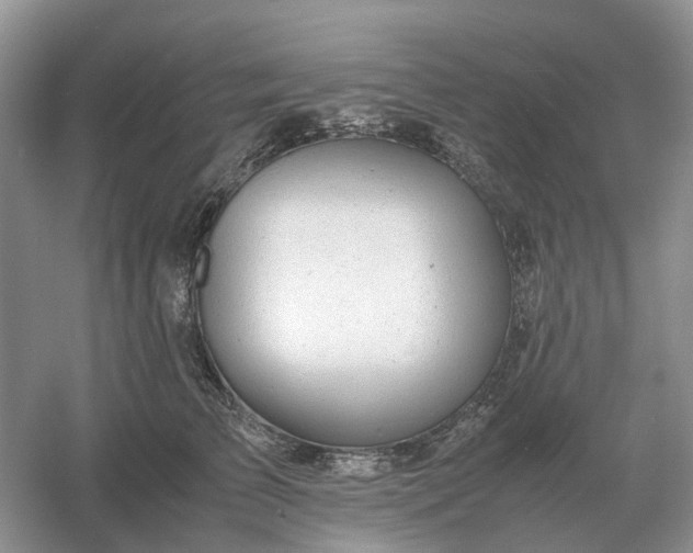 X0000061120709200512022152