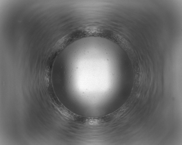 X0000061120710200512022152