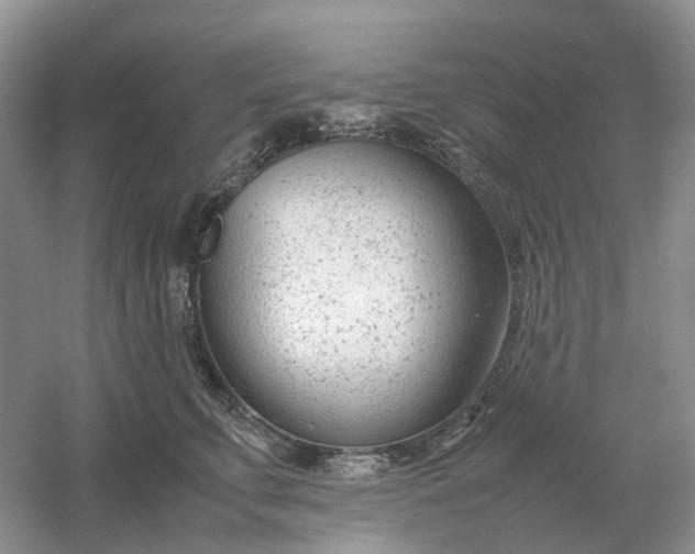 X0000061120711200512022152