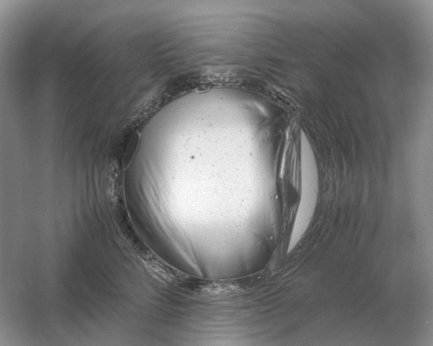 X0000061120712200512022152