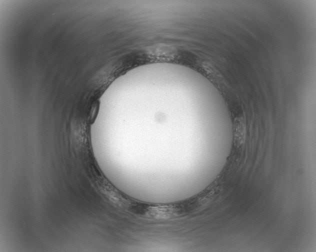 X0000061120713200512022152