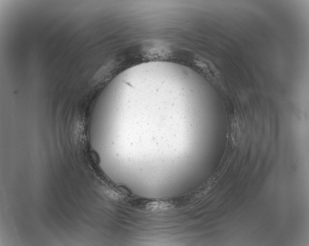 X0000061120714200512022152