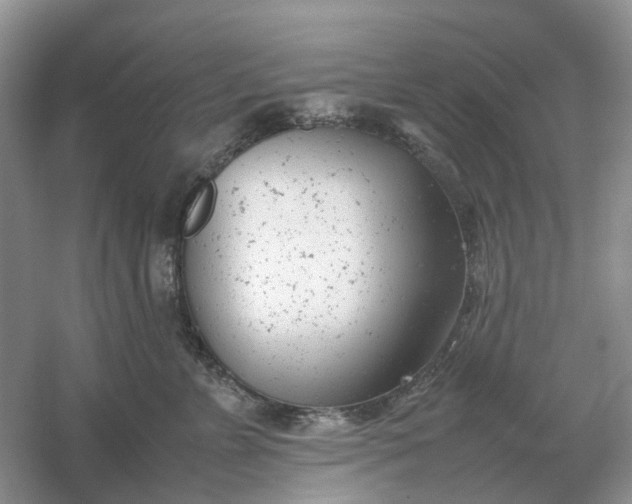 X0000061120715200512022152