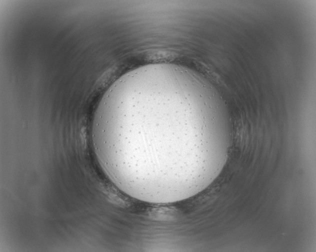 X0000061120716200512022152