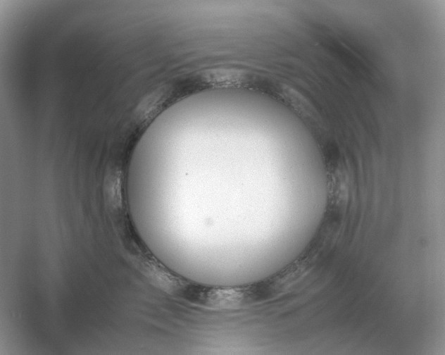 X0000061120717200512022152