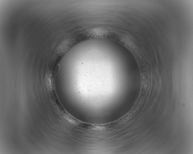 X0000061120718200512022152